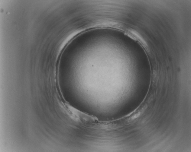 X0000062890948200601201842