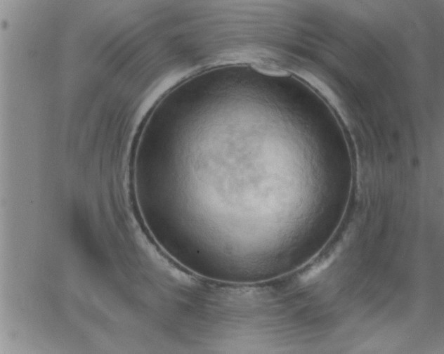 X0000062890949200601201842