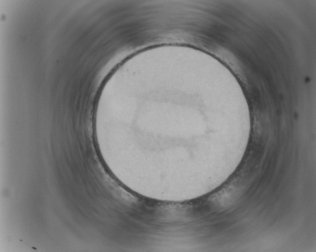 X0000062890950200601201842