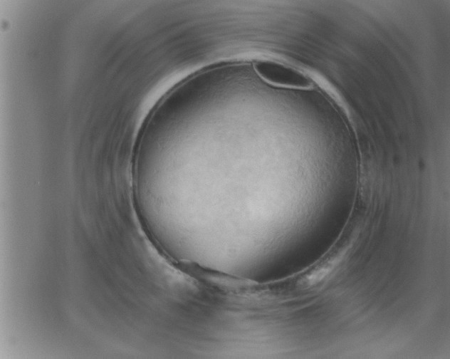 X0000062890951200601201842