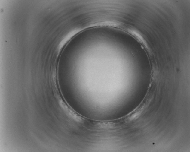 X0000062890952200601201842