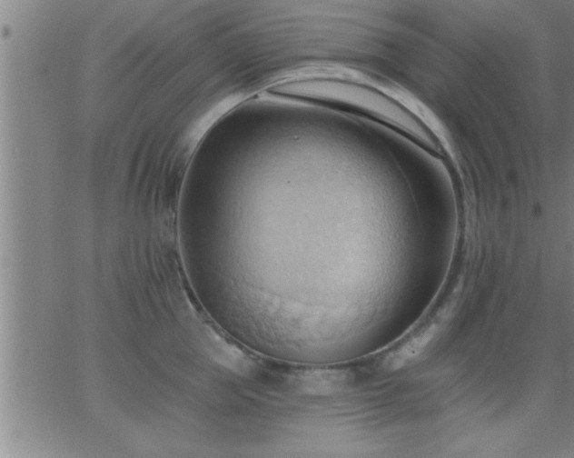 X0000062890953200601201842