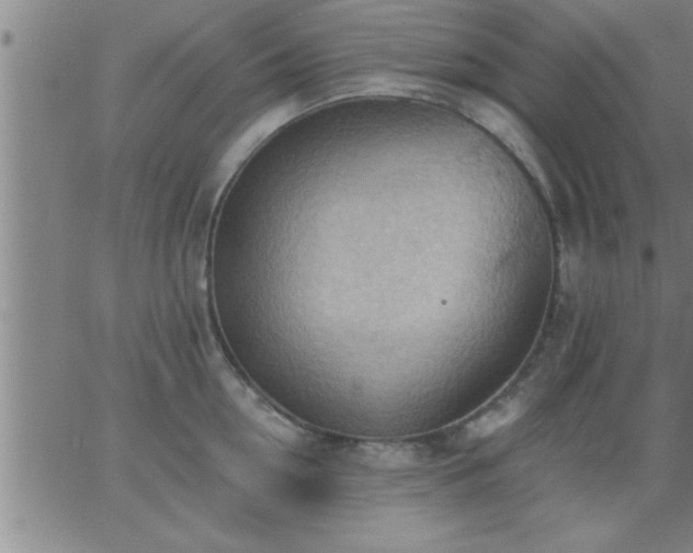 X0000062890954200601201842