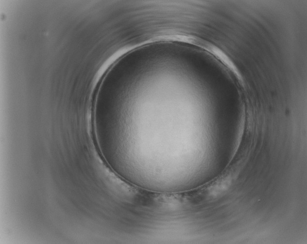 X0000062890955200601201842