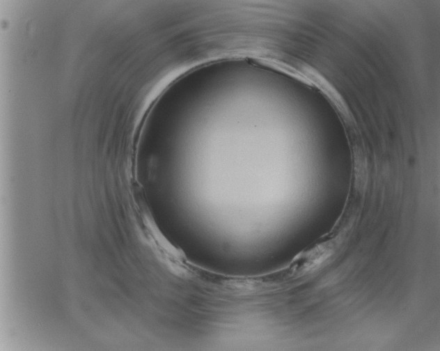 X0000062890956200601201842