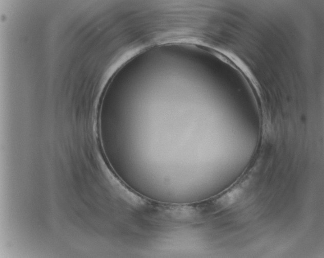 X0000062890957200601201842