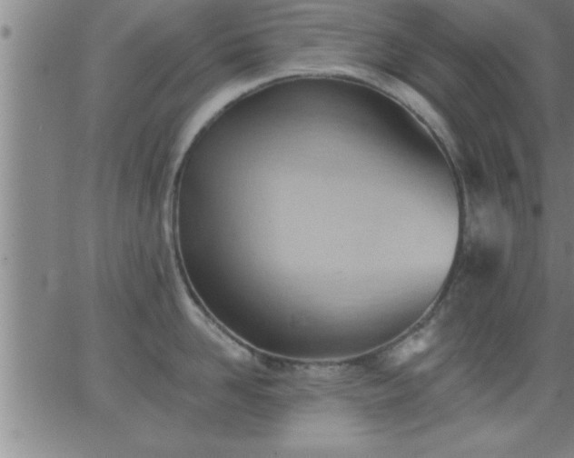 X0000062890958200601201842