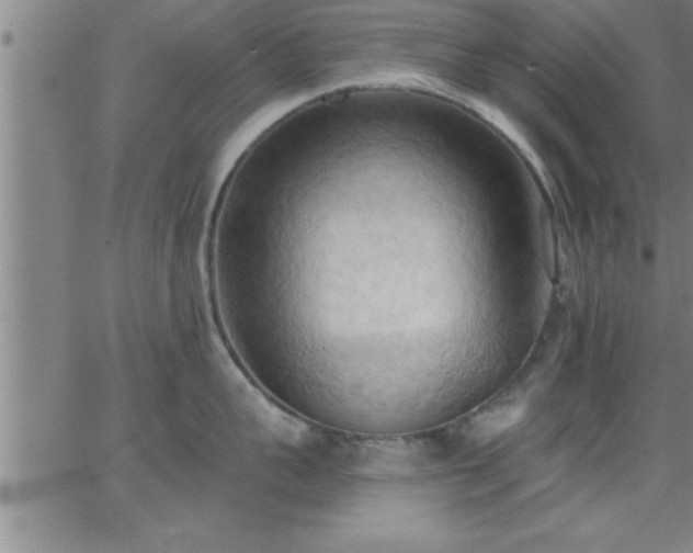 X0000062890959200601201842