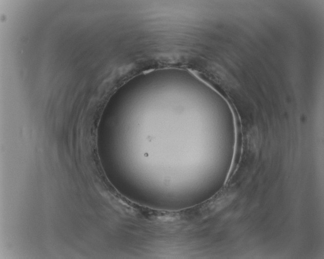 X0000062890961200601201842