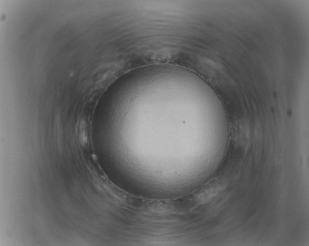 X0000062890962200601201842