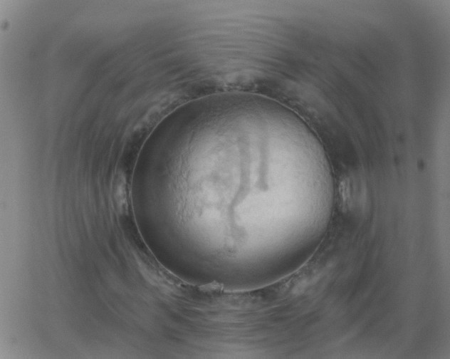 X0000062890963200601201841