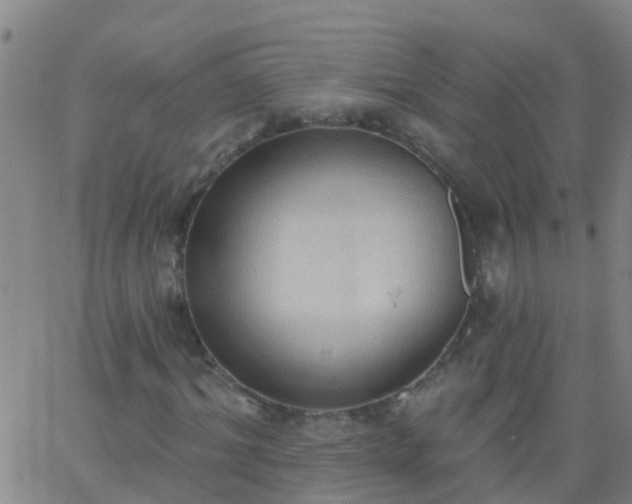 X0000062890964200601201841