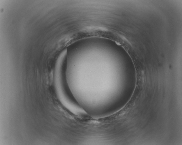 X0000062890965200601201841