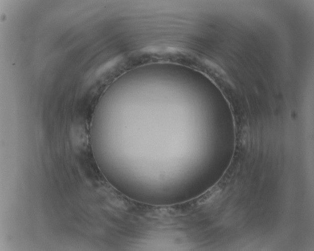 X0000062890966200601201841