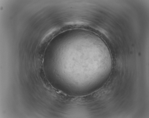 X0000062890967200601201841