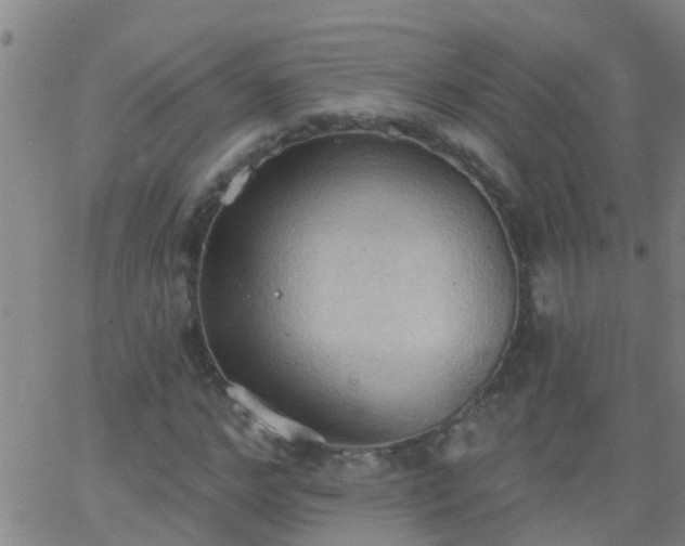 X0000062890968200601201841