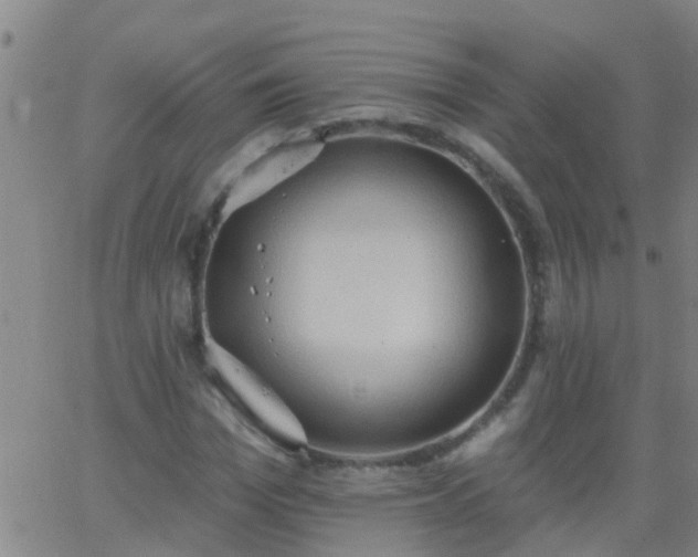 X0000062890969200601201841