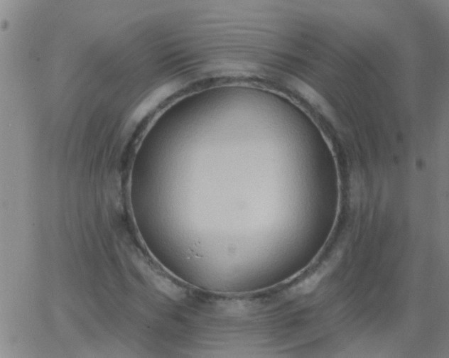 X0000062890970200601201841