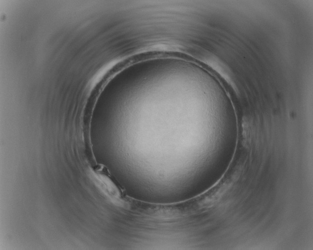 X0000062890972200601201841