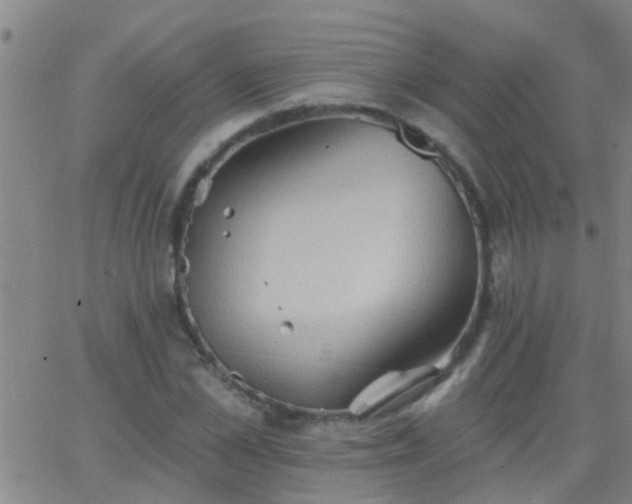 X0000062890973200601201841