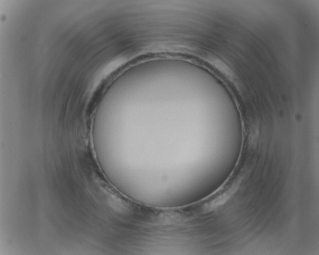 X0000062890974200601201841