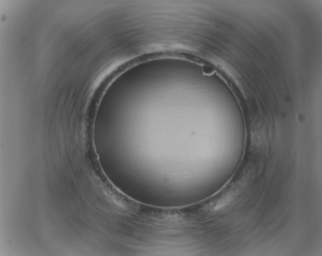 X0000062890975200601201841