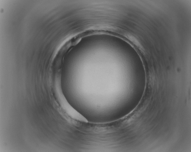 X0000062890976200601201841