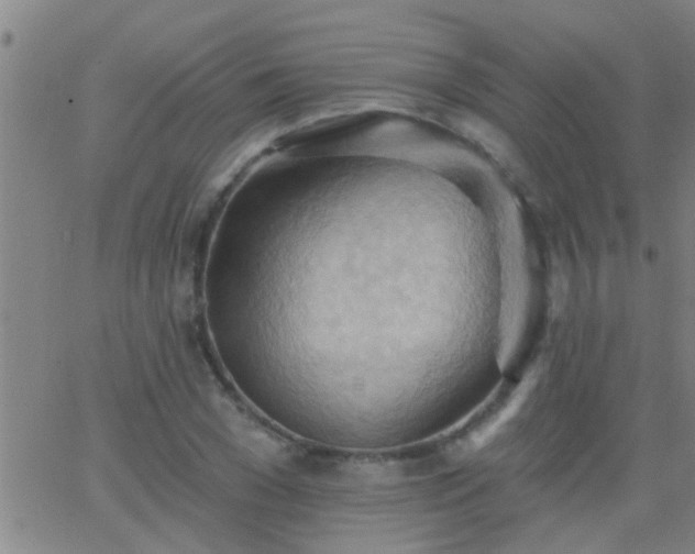 X0000062890977200601201841