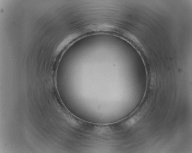 X0000062890978200601201841