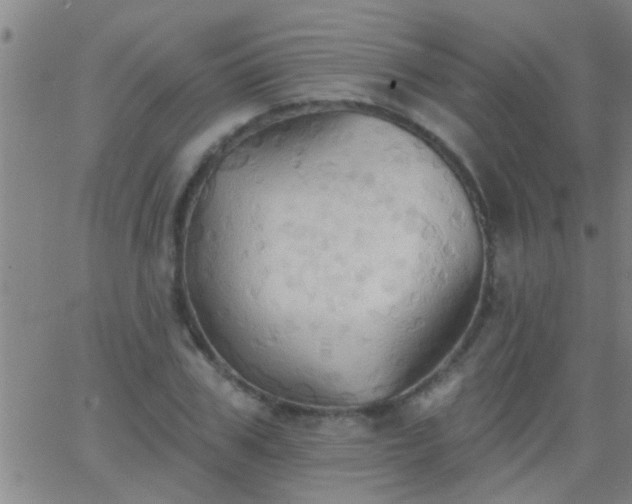 X0000062890979200601201841