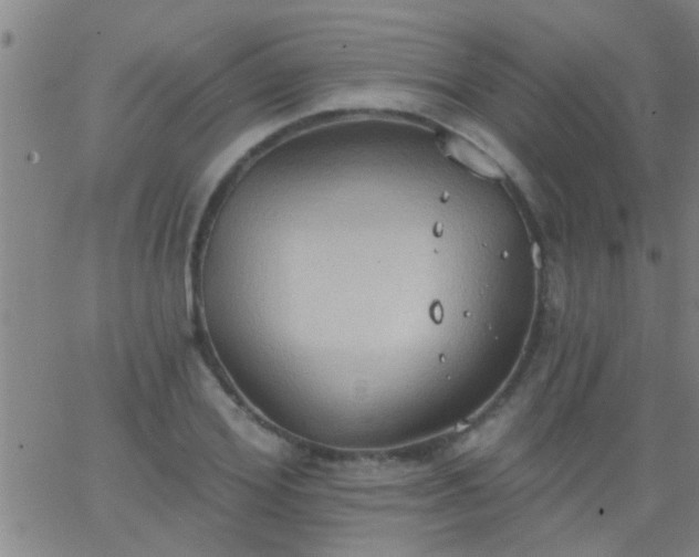 X0000062890980200601201841