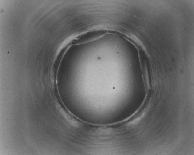 X0000062890981200601201841