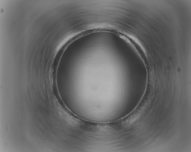 X0000062890983200601201841