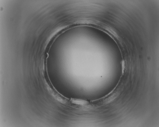 X0000062890984200601201841