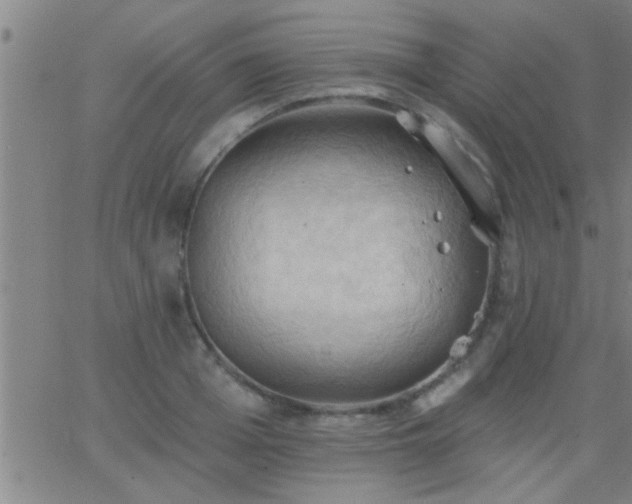 X0000062890985200601201841