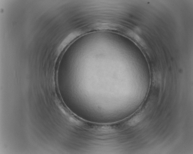 X0000062890986200601201841