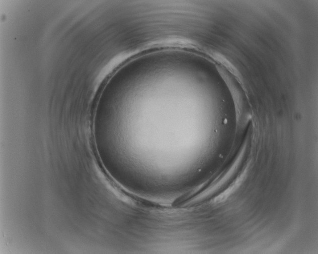 X0000062890989200601201841