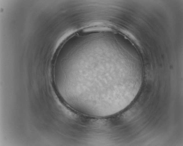 X0000062890991200601201841