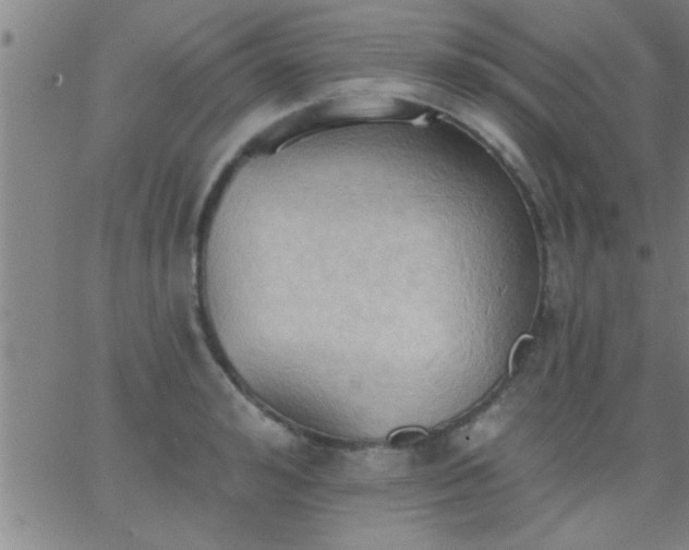 X0000062890992200601201841