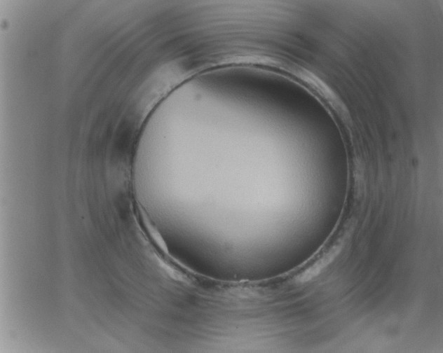 X0000062890993200601201841