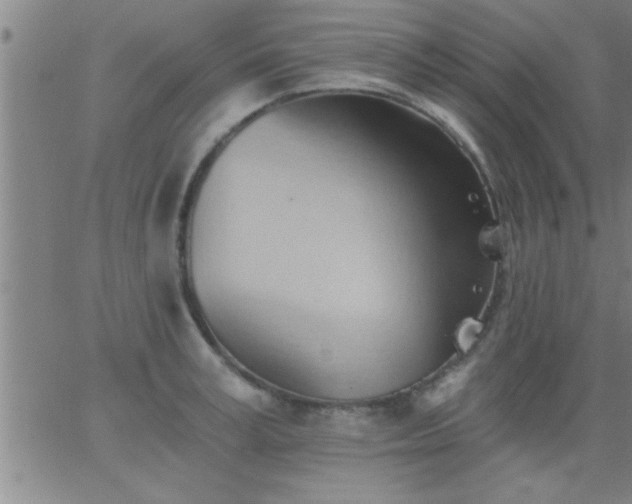 X0000062890995200601201841