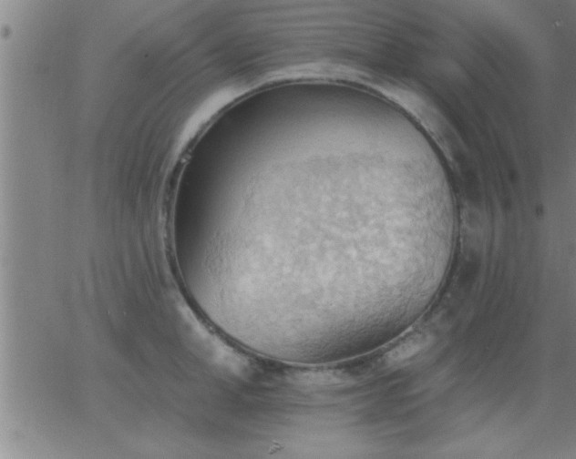 X0000062890998200601201841