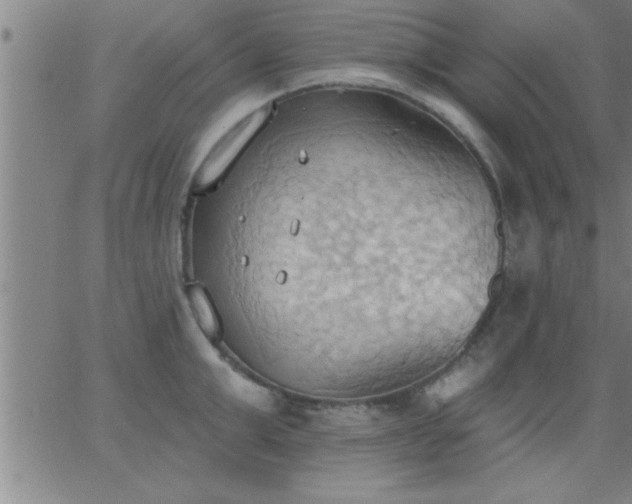 X0000062890999200601201841