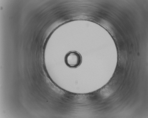 X0000062891000200601201841