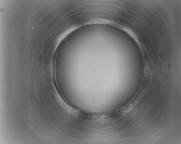 X0000062891003200601201841