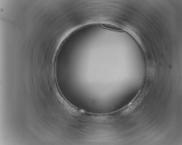 X0000062891004200601201841