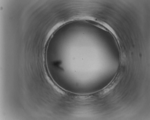 X0000062891005200601201841