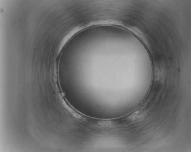 X0000062891006200601201841