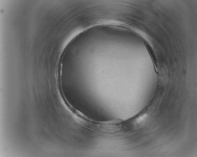 X0000062891007200601201841