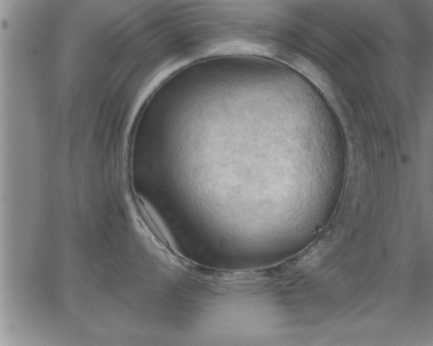 X0000062891008200601201841